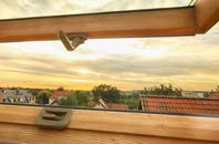 rated Hamsey Green roof window companies